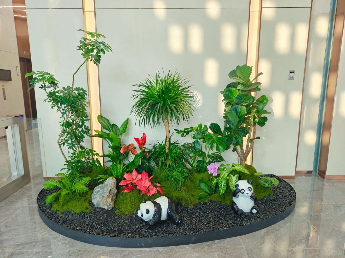 专业盆景租摆，领略宁波镇海的自然之美！